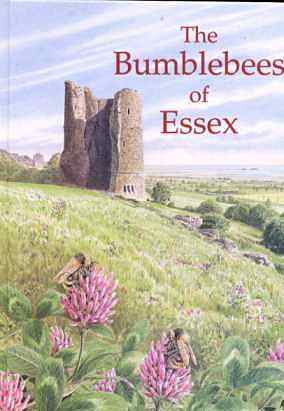 The Bumblebees of Essex: cover illustration by Ted Benton